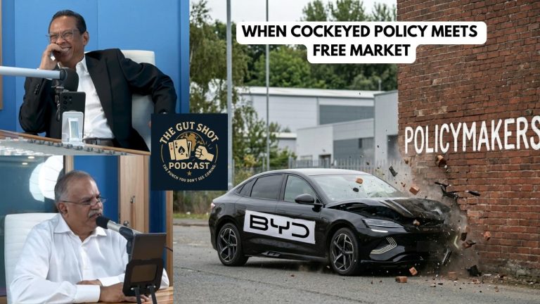 BYD’s Investment Hit a Wall – When Cockeyed Policy Meets Free Market