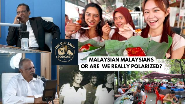 Malaysian Malaysians or Are We Really Polarised?