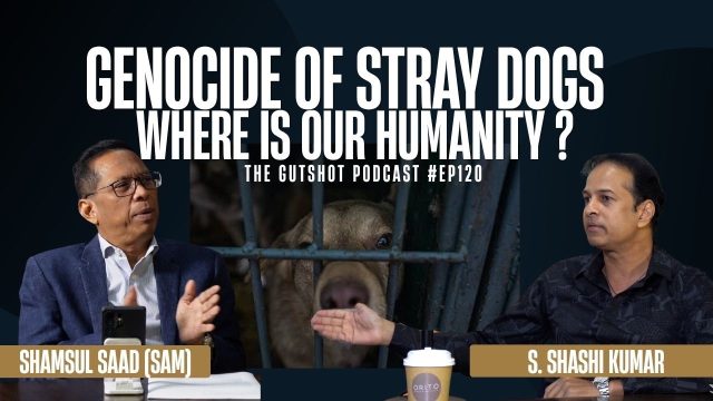 Genocide of Stray Dogs – Where is our Humanity